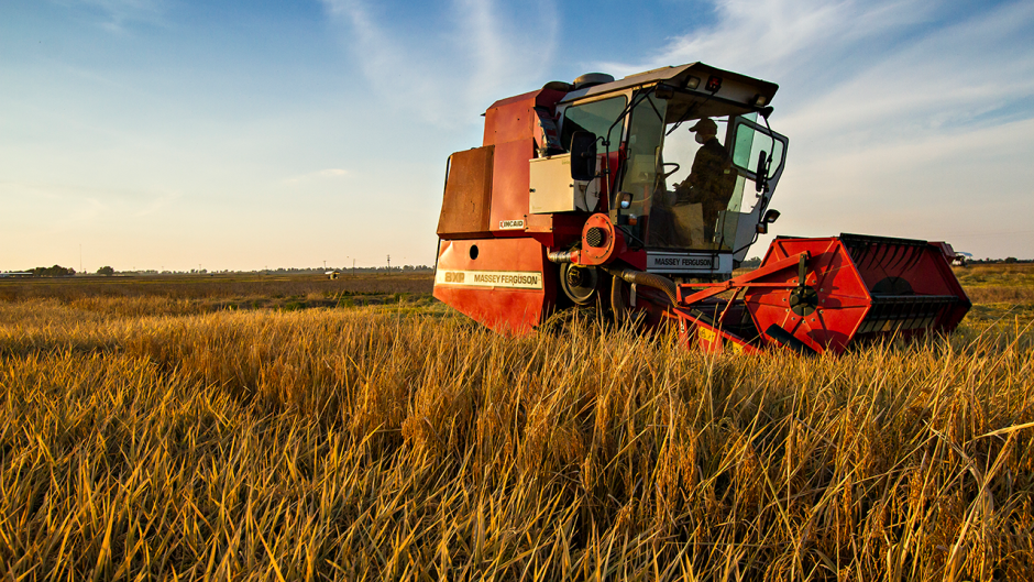 Crops being harvested in the fall.