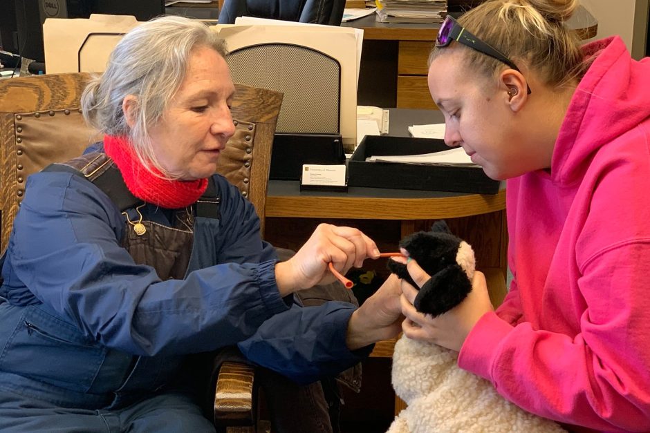 Participants insert an esophageal feeding tube into a toy lamb.