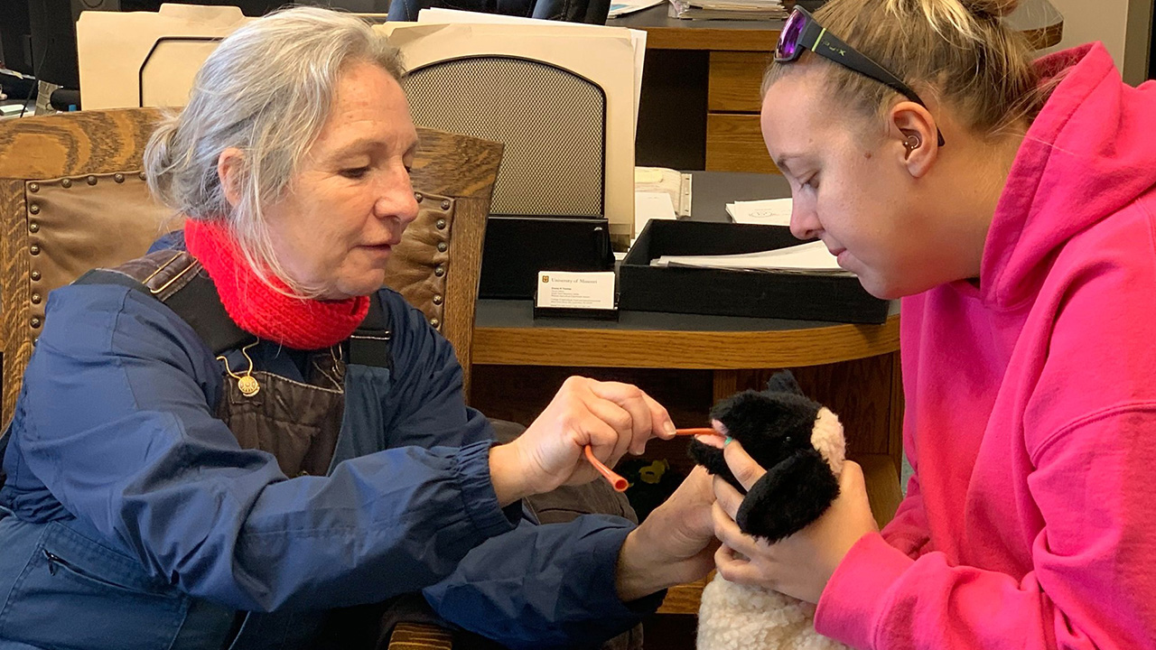 Participants insert an esophageal feeding tube into a toy lamb.