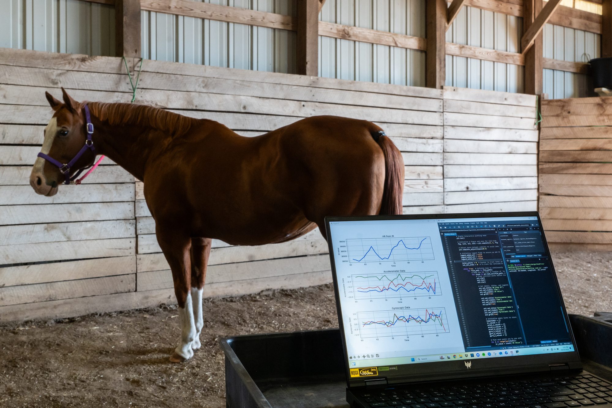 Open laptop in barn with horse in background