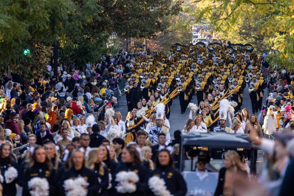 Crowd at parade