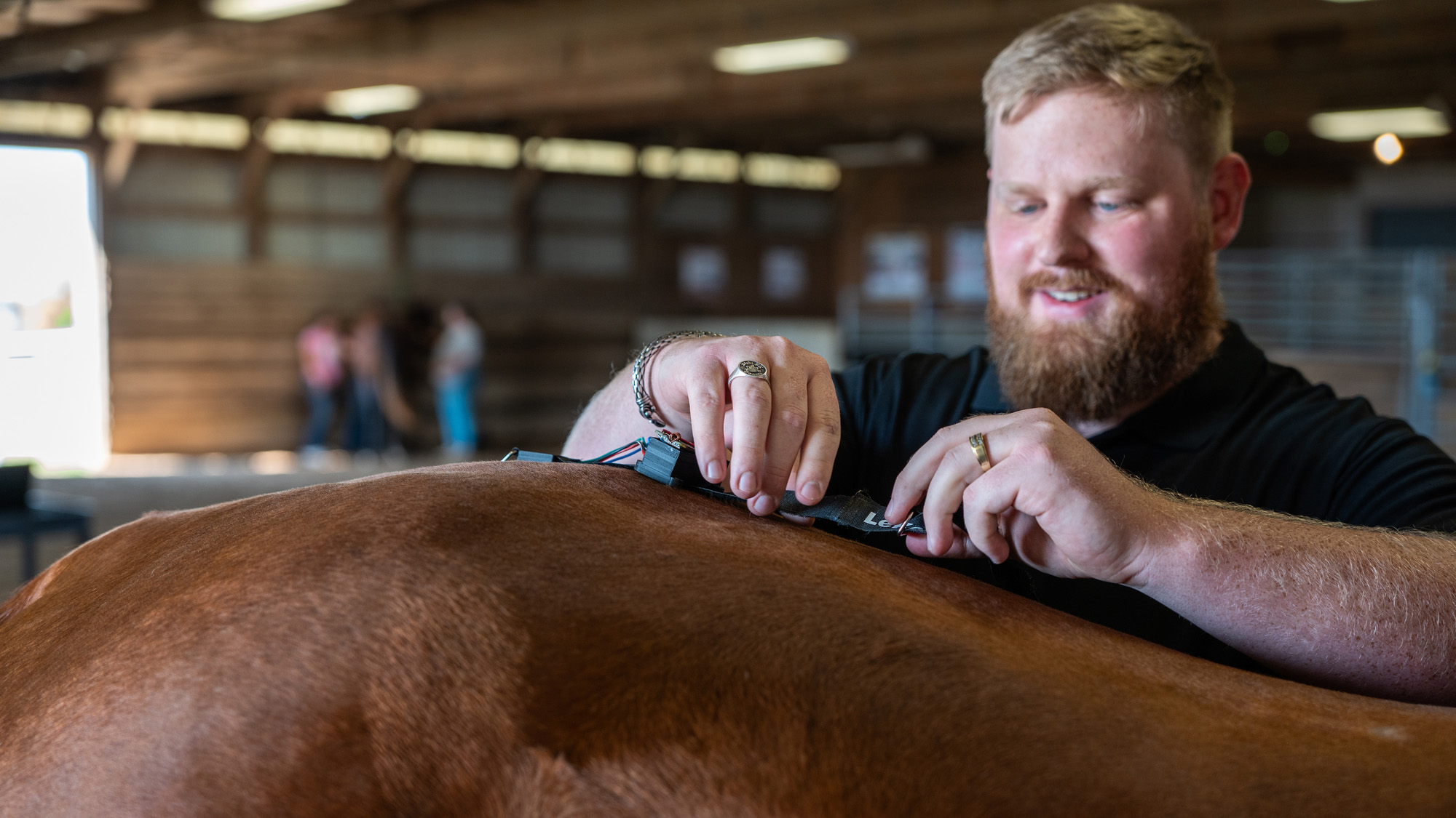 Man puts sensor on horse