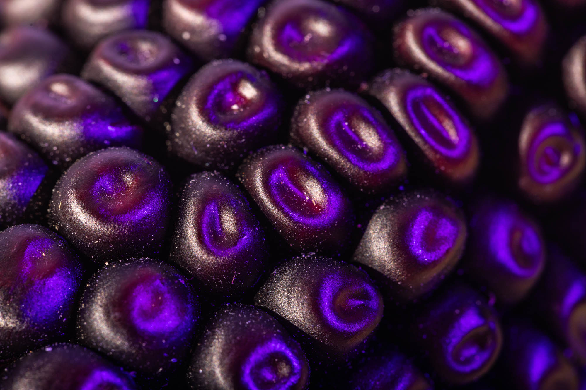 Close up of dark purple corn kernels