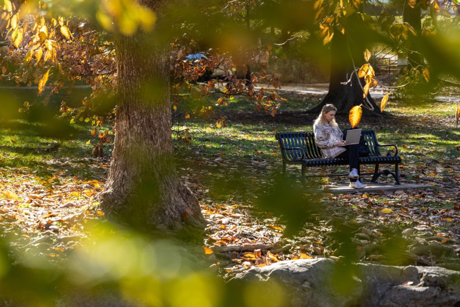 Person on bench in park