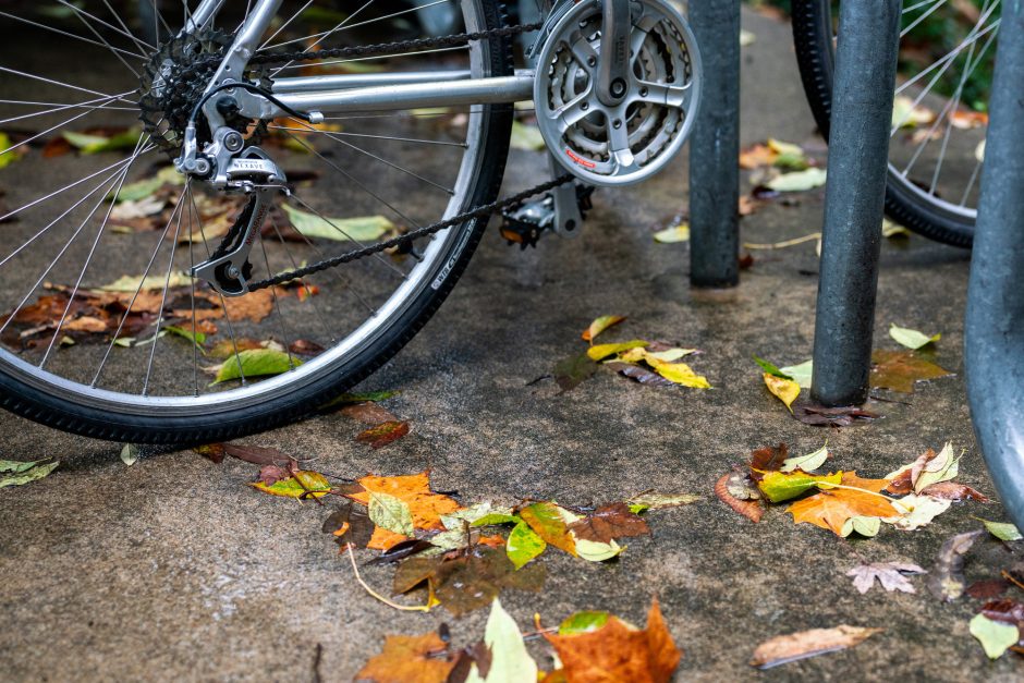 A bike tire surrounded by leaves