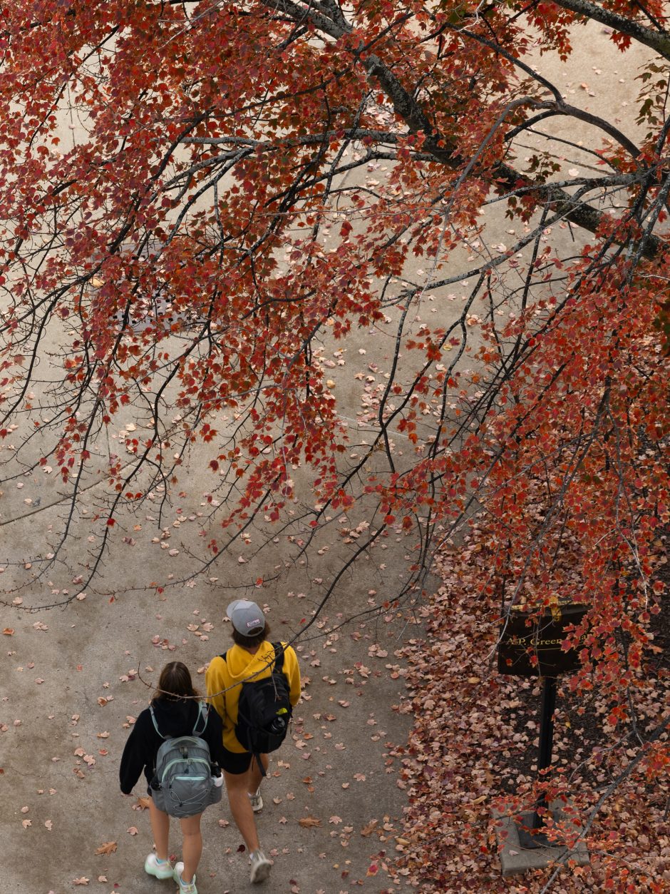 An aerial view of a student walking framed by red leaves