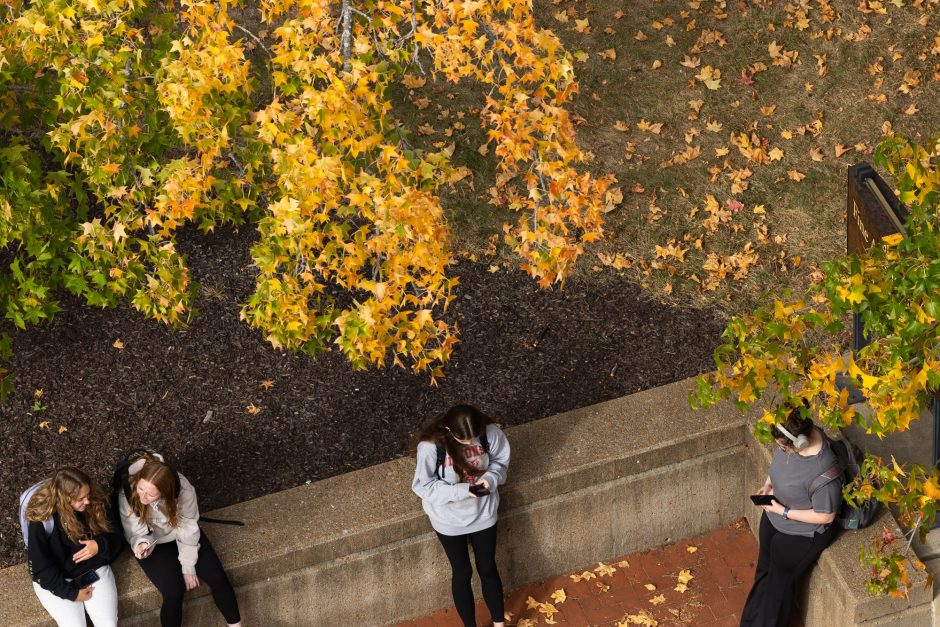 Aerial view of students underneath gold and green leaves