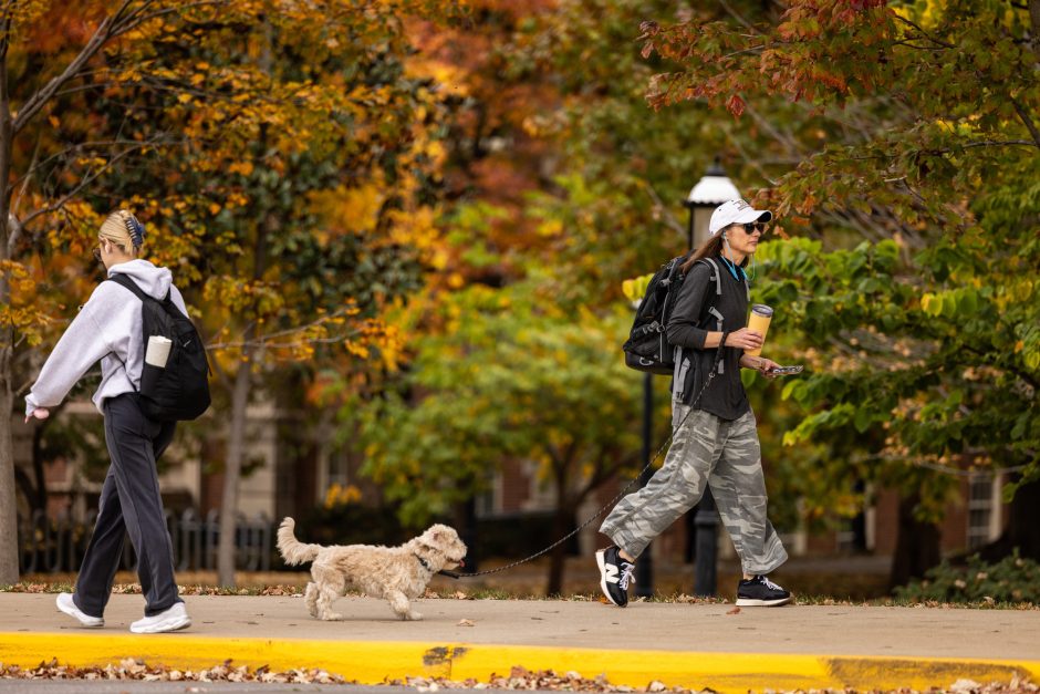 A person walks a dog on campus