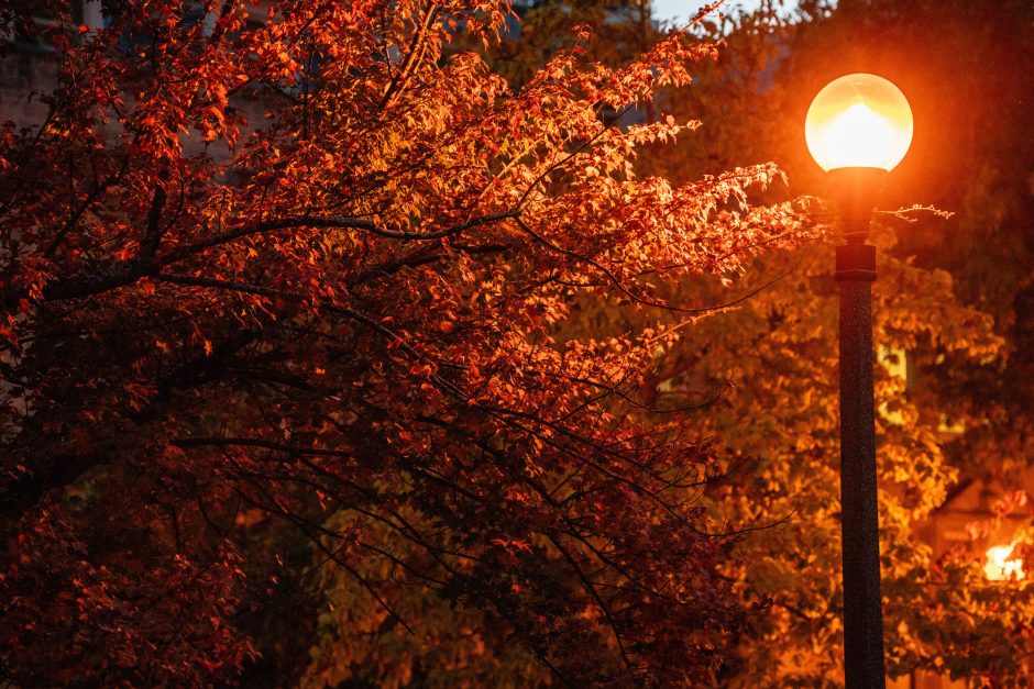 A lamp post illuminates fall trees