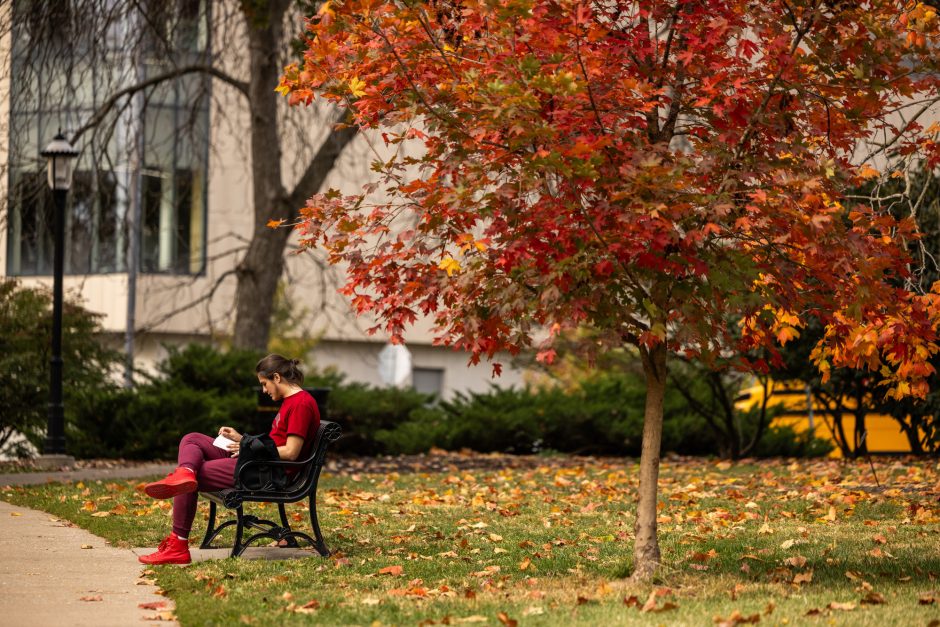 A person in red sits on a bench in front of red tree