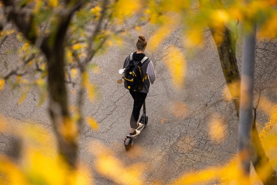 Golden leaves frame a pedestrian on a sidewalk