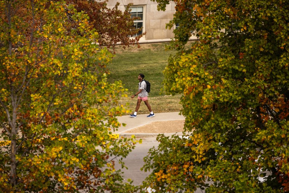 Leaves frame a person walking on campus