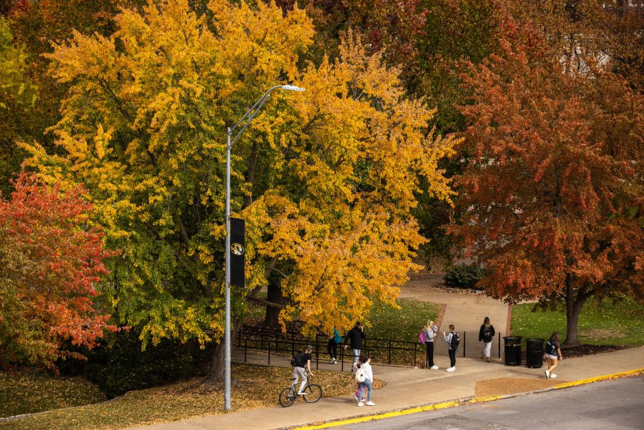 People walk on campus under colorful trees