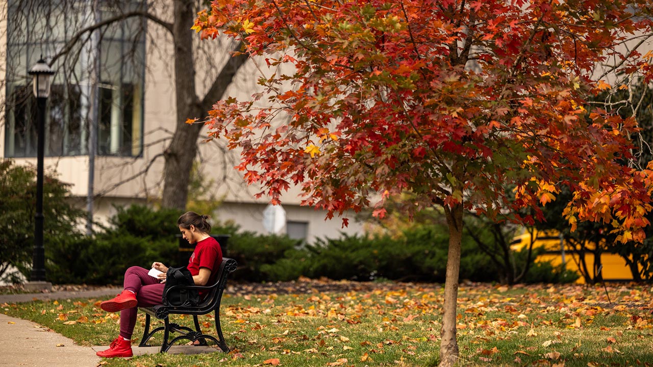 Student on bench under tree