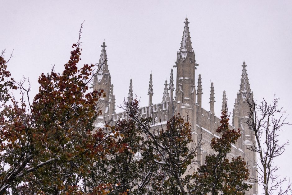 Snowy branch frames Memorial Union