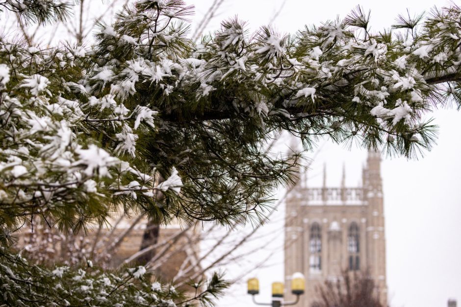 Showy branch frames Memorial Union