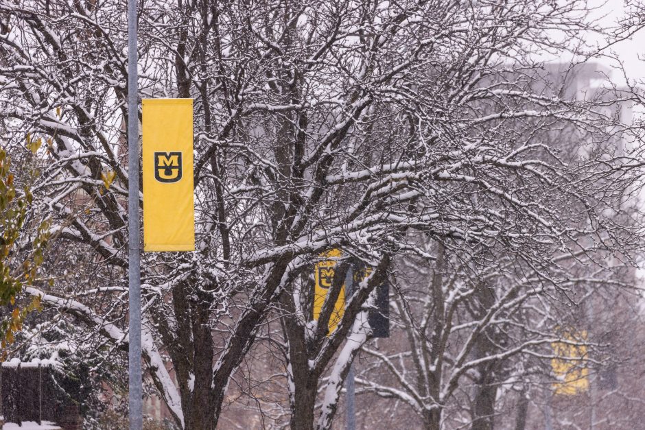 Gold MU banner on snowy tree