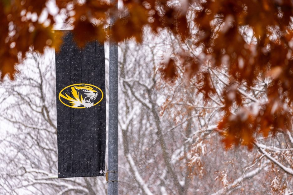 Mizzou Tiger banner in snow