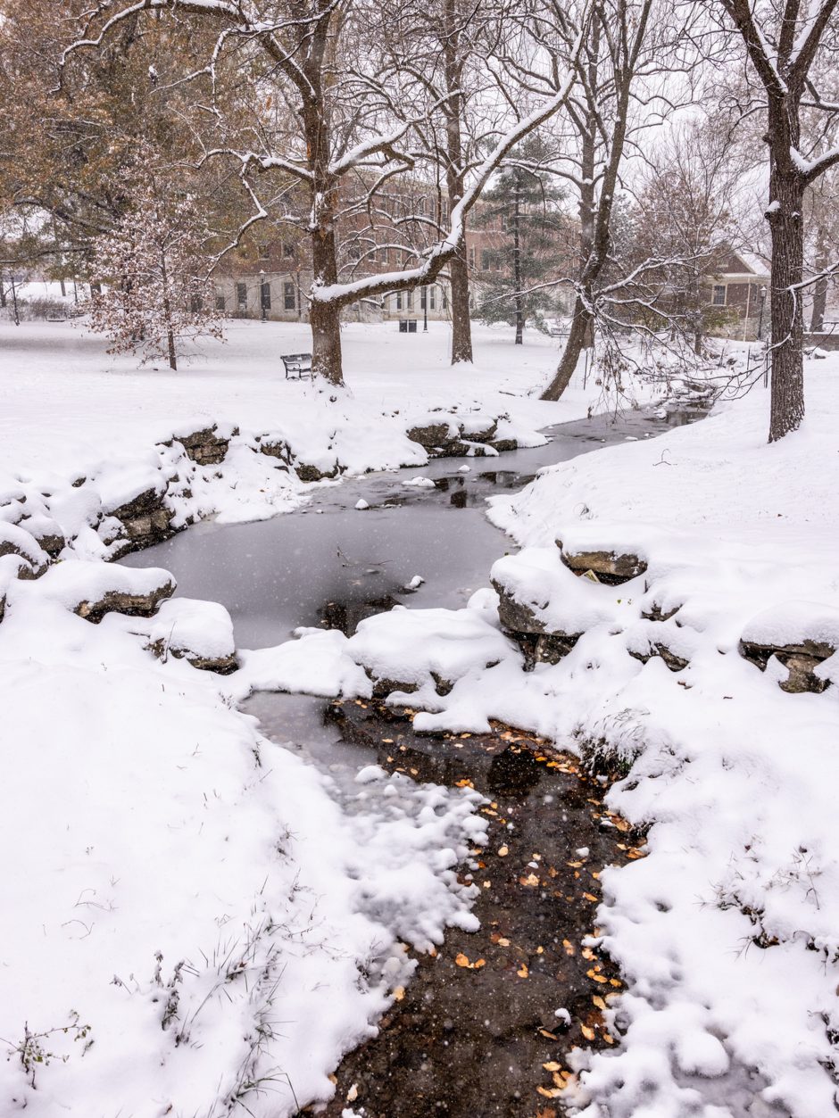 Snowy stream