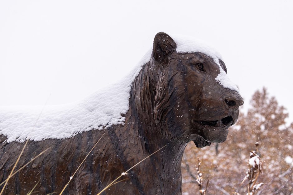 Snow covers a tiger statue head