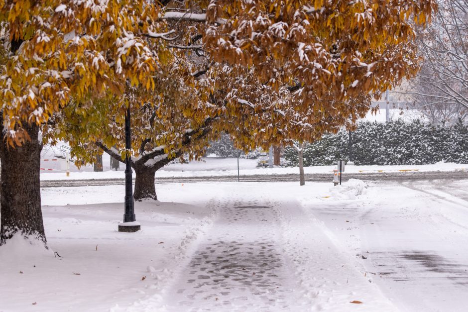 A snowy path on campus