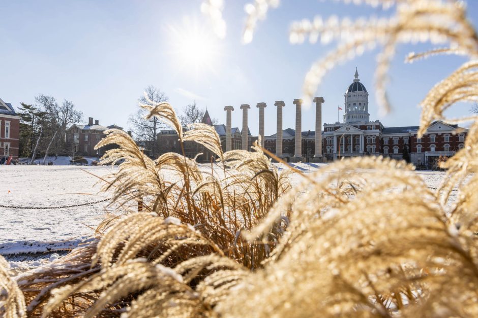 Beige bush on snow covered ground in front of Jesse Hall