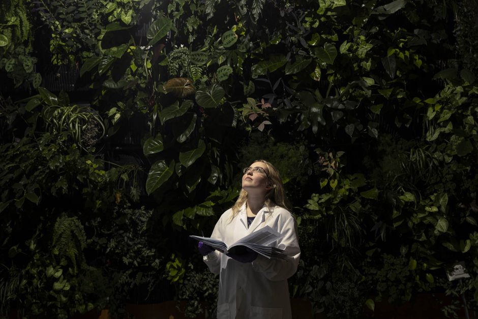 Person with book looks up at trees