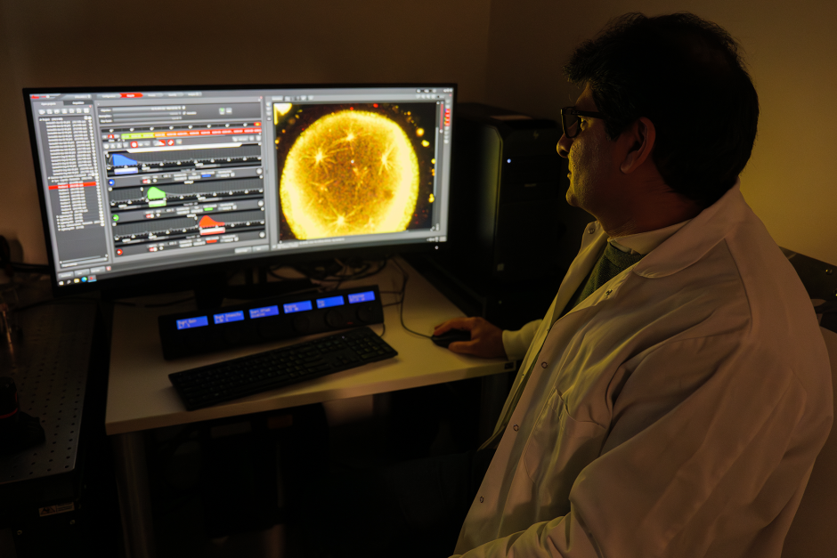 Balboula examining DNA damage in cells at the NextGen Precision Health building. 