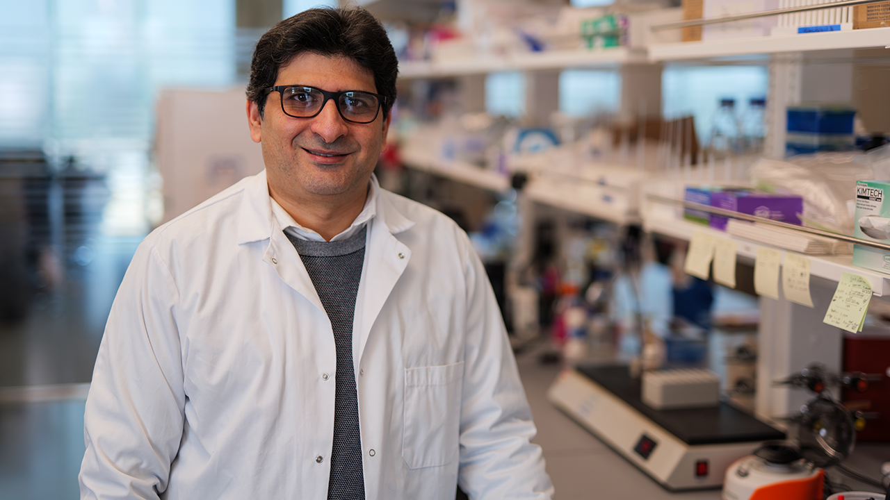 Ahmed Balboula in his lab at the NextGen Precision Health building.