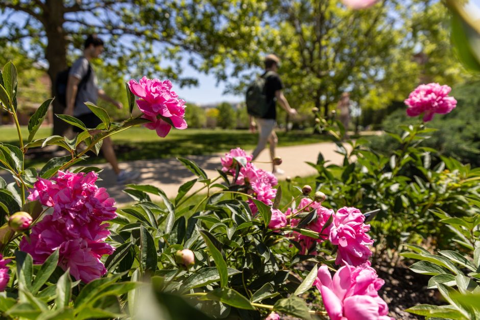 Student walks past pink flowers