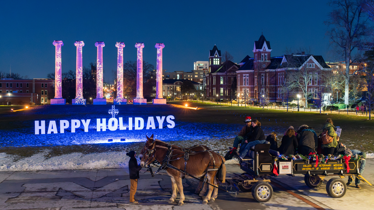 Mules pull sleigh across quad