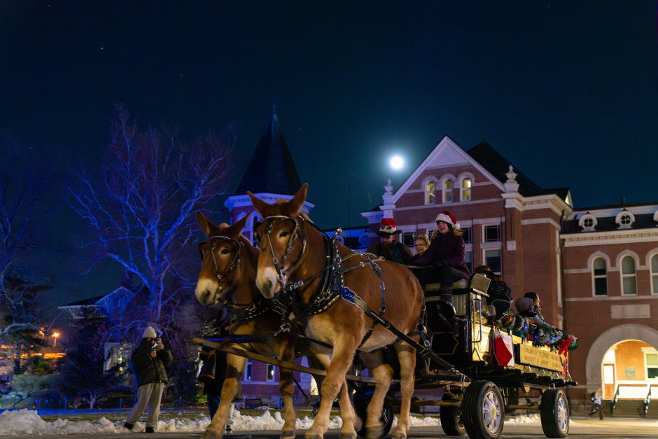 Mules pull wagon with passengers