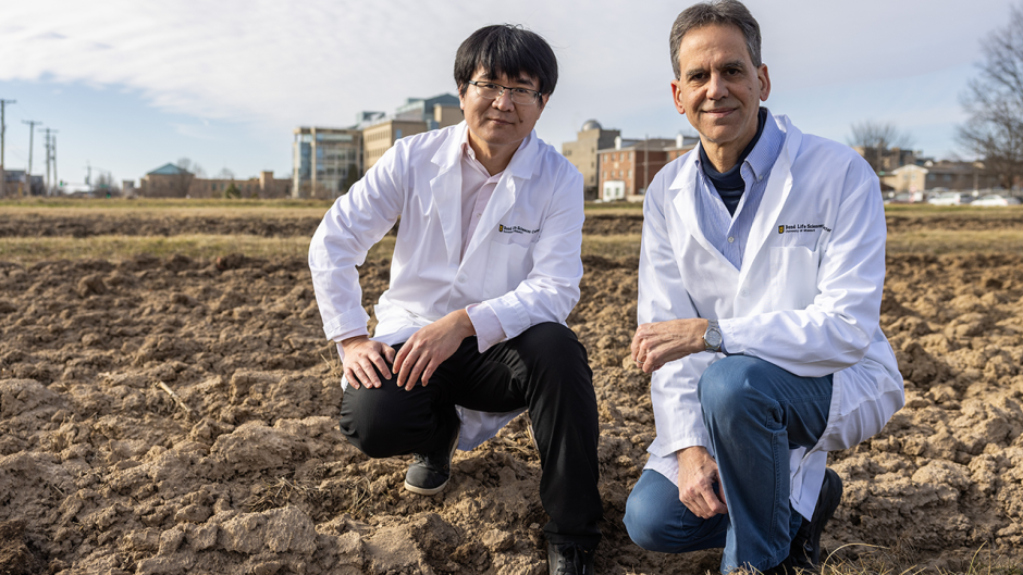 Researchers at Sanborn Field.