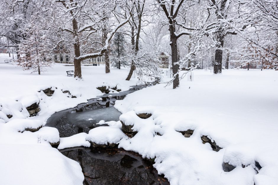 Creek among snowy ground and trees