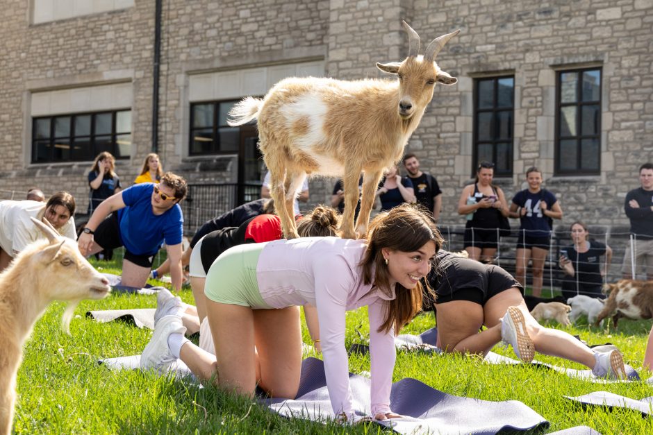 A student with a goat standing on top of their back