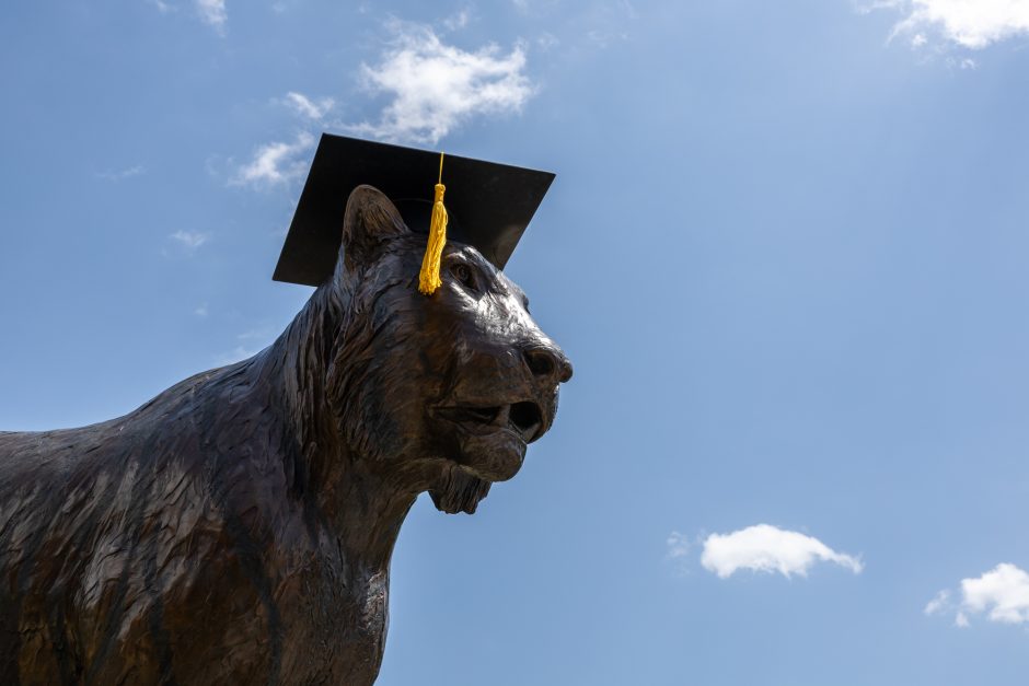 Tiger statue with a graduation cap