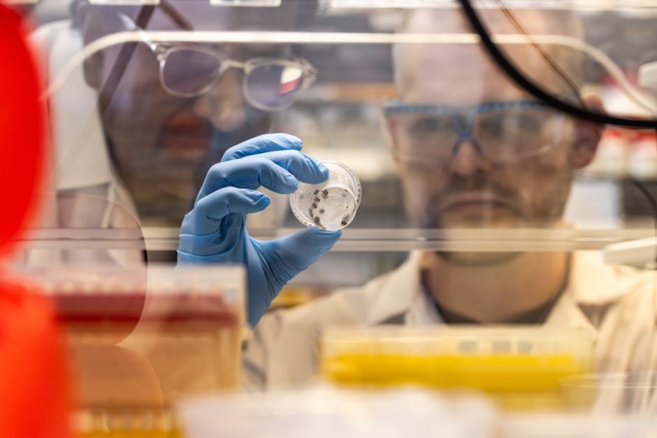 Researchers holding a sample and examining it behind protective glass