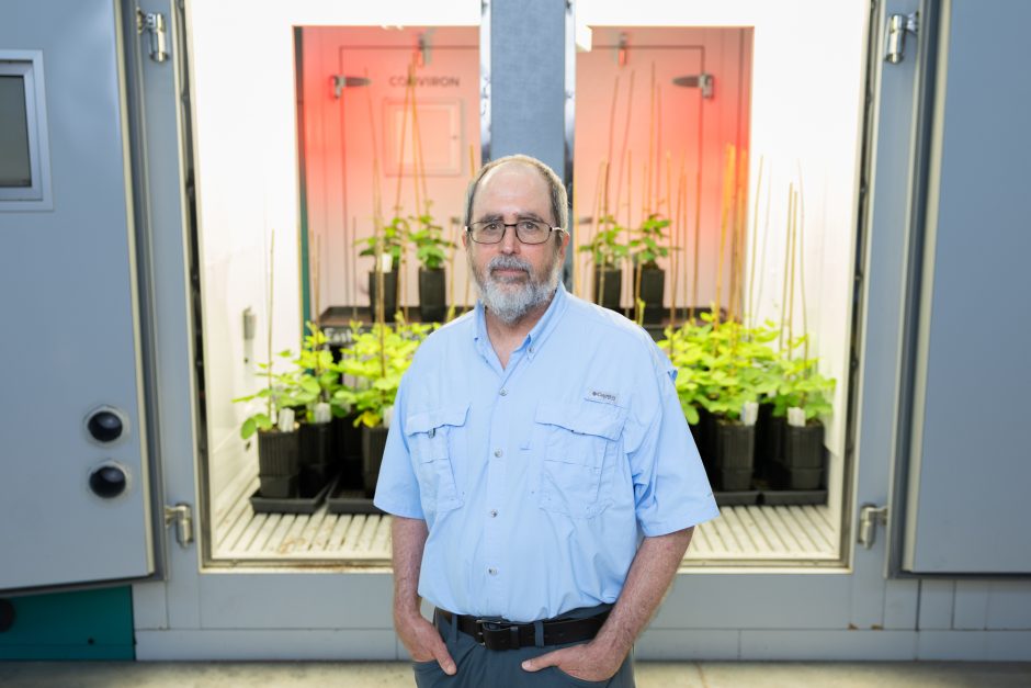 Researcher standing in front of plants