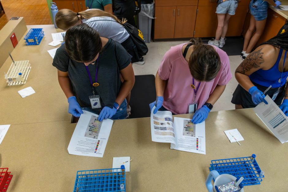 Medical staff looking at paperwork