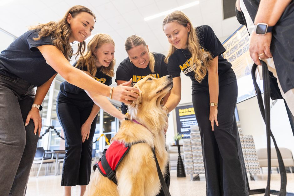 Four students pet a golden retriever