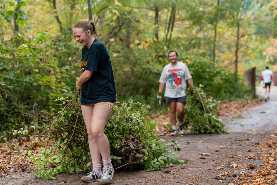 Students dragging brush and limbs outside