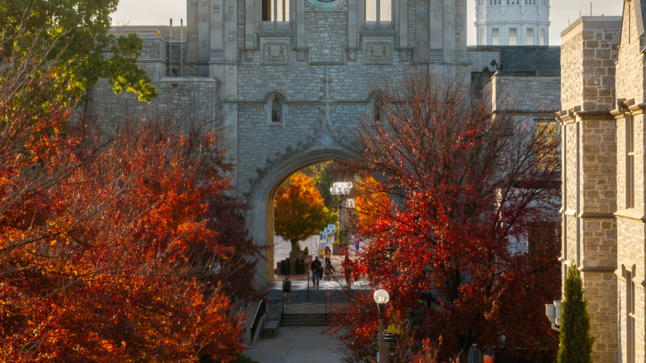 Fall trees with Memorial Union and the dome of Jesse Hall in the background
