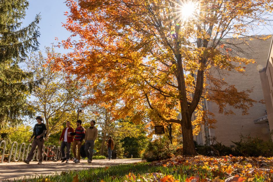 Students walking beneath tree with autumn leaves