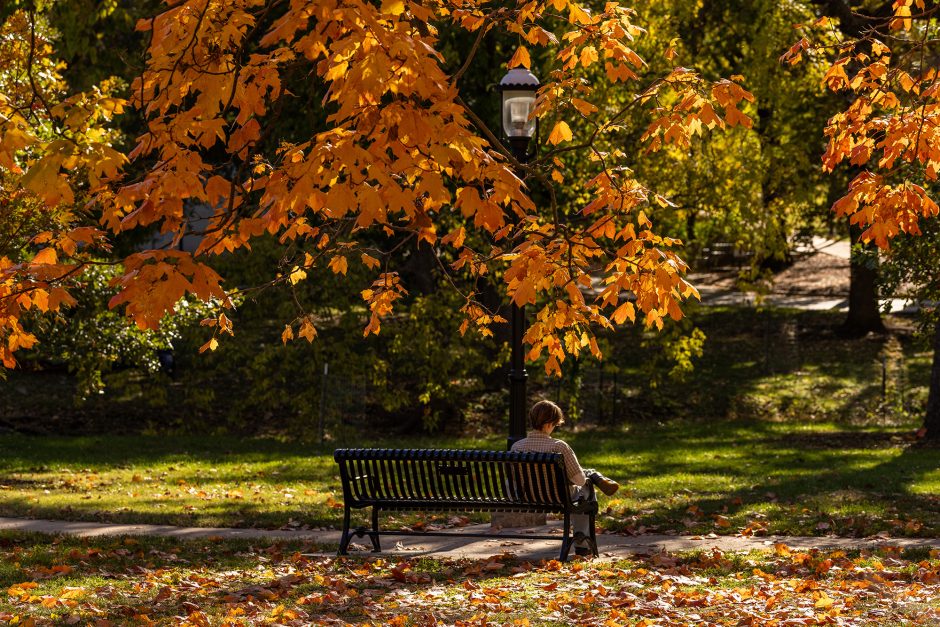 A student sits on a bench surrounded by trees with fall colored leaves.