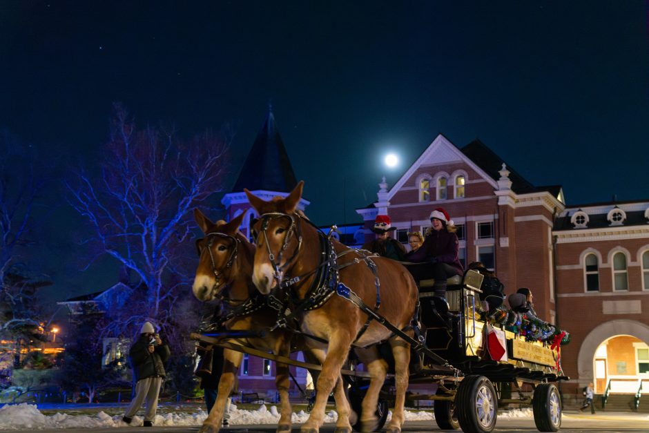 Mules pulling a wagon