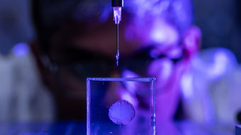 researcher looks at a 3D model of a brain