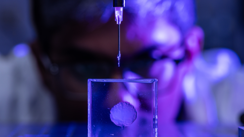 researcher looks at a 3D model of a brain