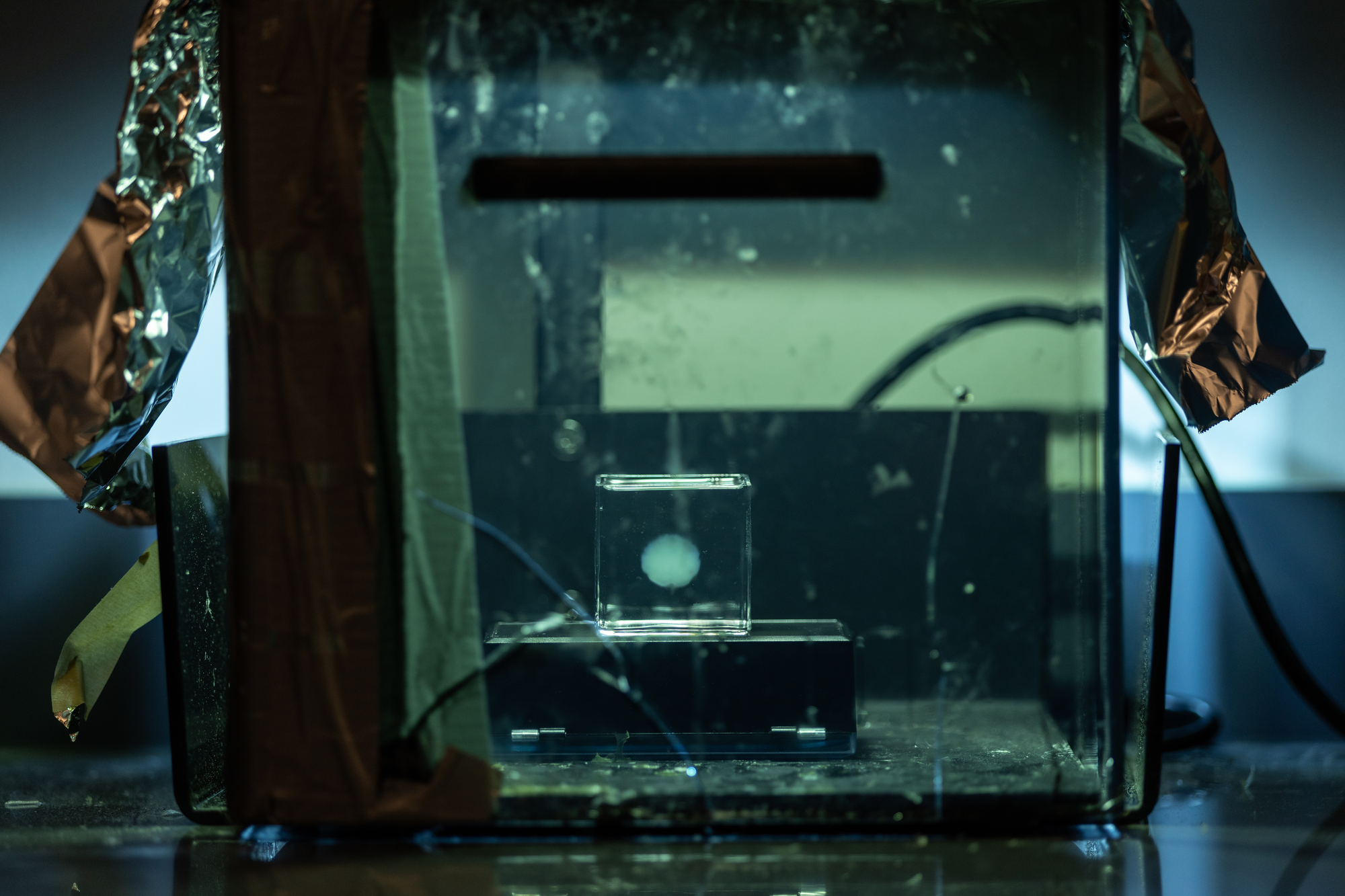 20251205_NIT_ENG-3D-Brain-017-Show Me Mizzou - Hero Image-2000x1333 A 3D printing machine printing a 3D brain