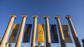 Black and gold banners hang from columns