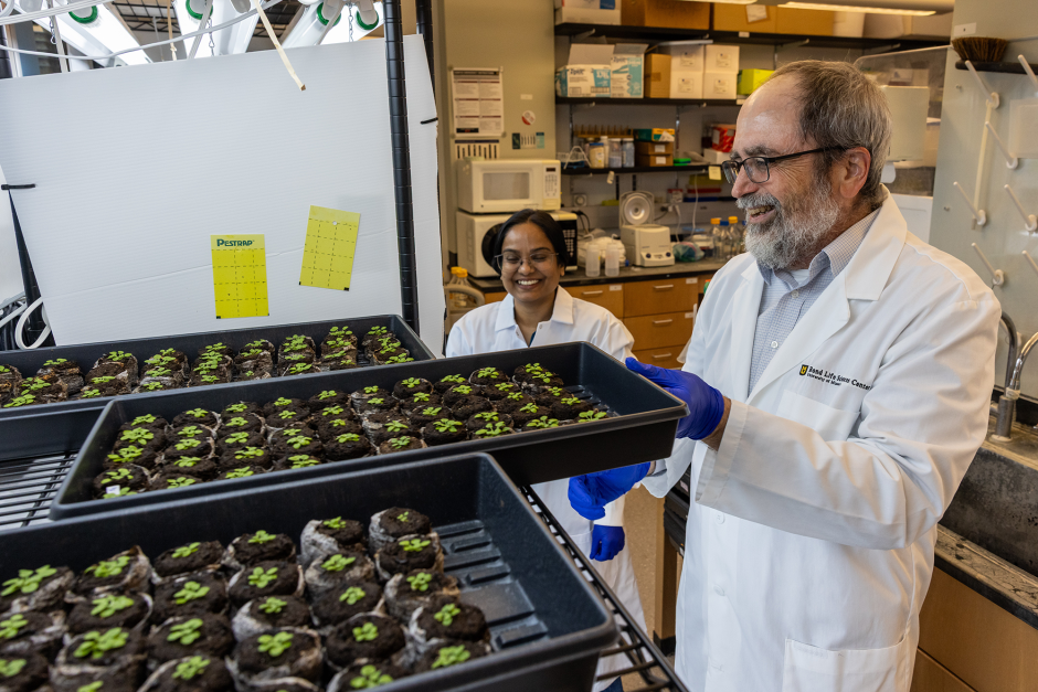 Mittler and a colleague working in his lab.